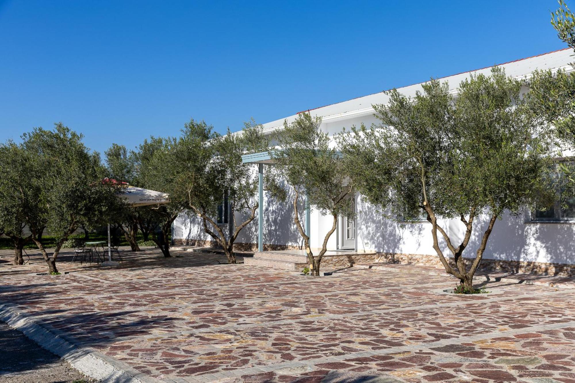 Hotel Paradise Shkodër Exterior foto